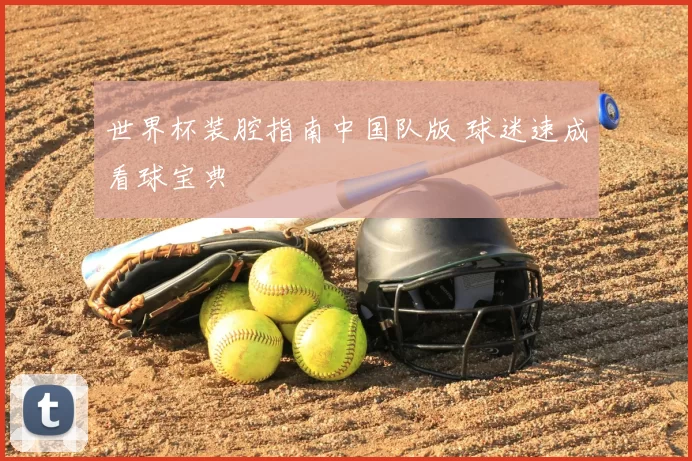 世界杯装腔指南中国队版 球迷速成看球宝典