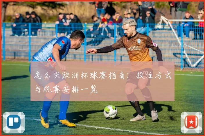 怎么买欧洲杯球赛指南：投注方式与观赛安排一览