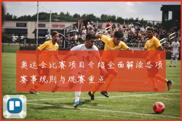 奥运会比赛项目介绍全面解读各项赛事规则与观赛重点