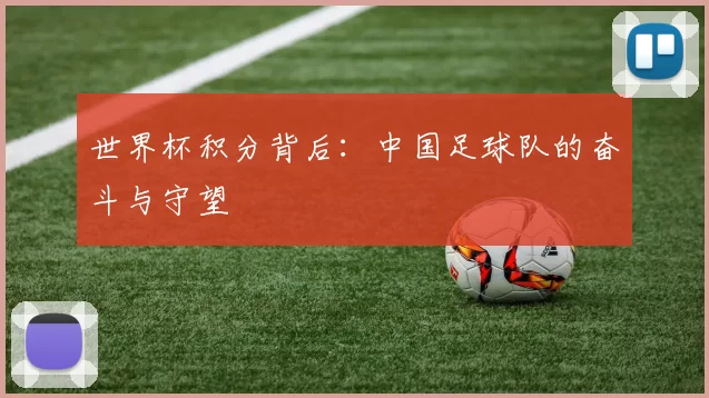 世界杯积分背后：中国足球队的奋斗与守望
