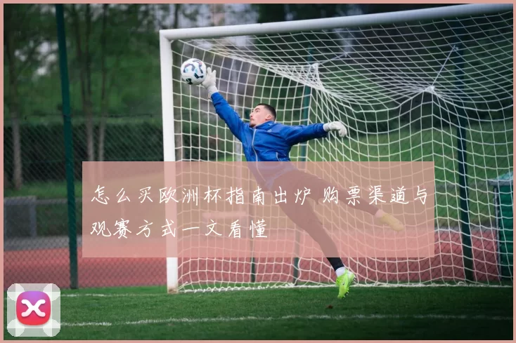怎么买欧洲杯指南出炉 购票渠道与观赛方式一文看懂