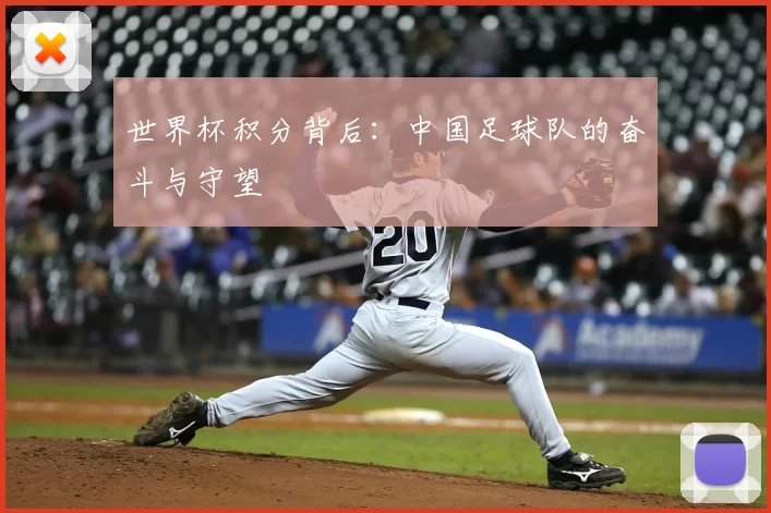 世界杯积分背后:中国足球队的奋斗与守望