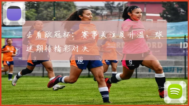 去看欧冠杯:赛事关注度升温,球迷期待精彩对决