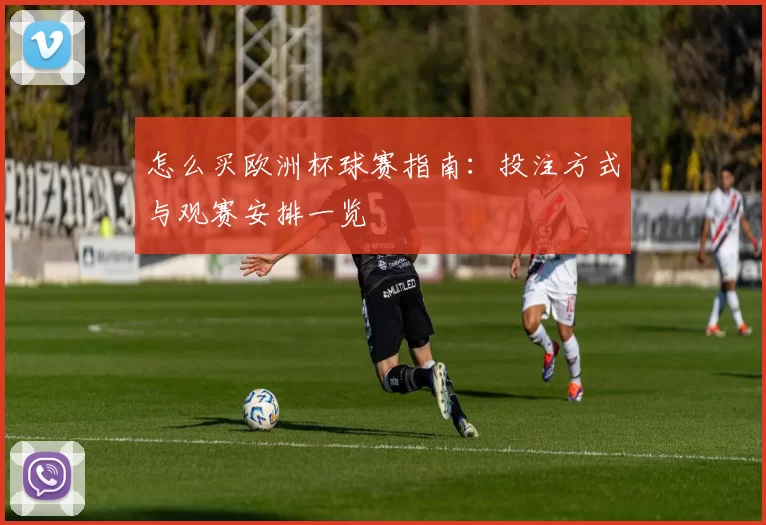 怎么买欧洲杯球赛指南:投注方式与观赛安排一览