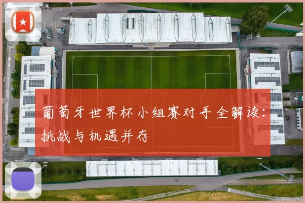葡萄牙世界杯小组赛对手全解读:挑战与机遇并存