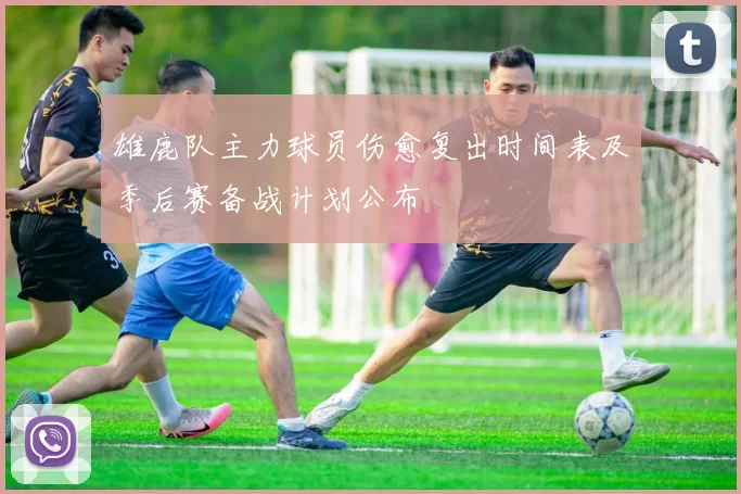 雄鹿队主力球员伤愈复出时间表及季后赛备战计划公布