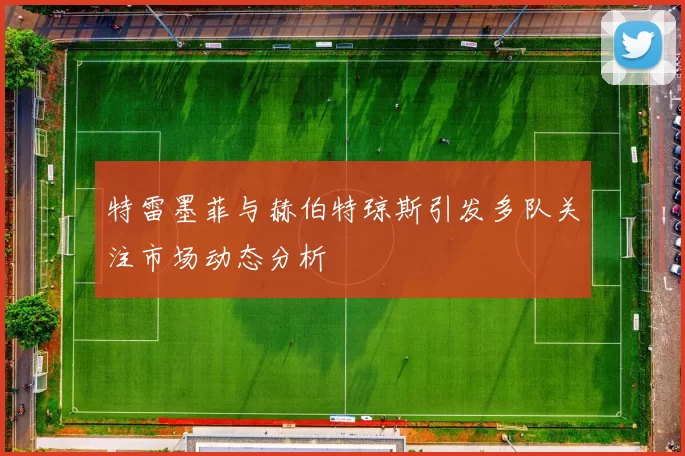 特雷墨菲与赫伯特琼斯引发多队关注市场动态分析
