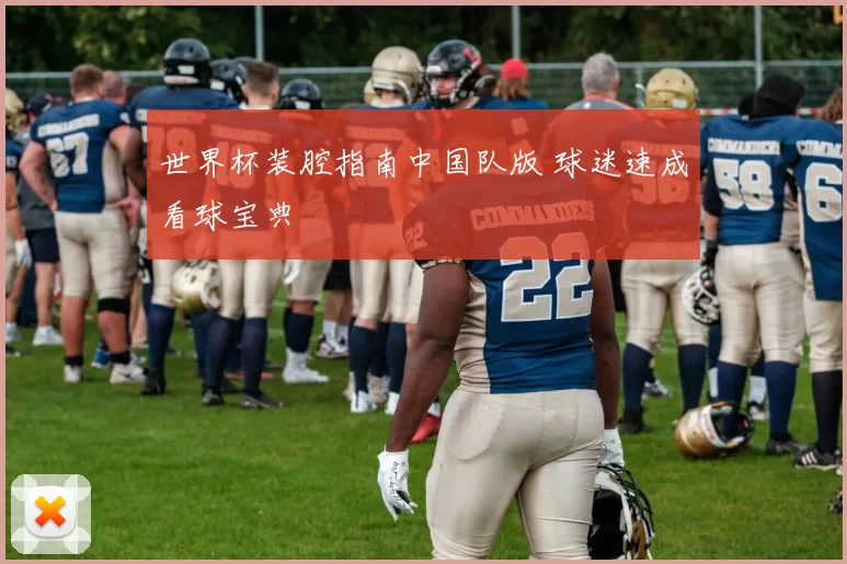 世界杯装腔指南中国队版 球迷速成看球宝典