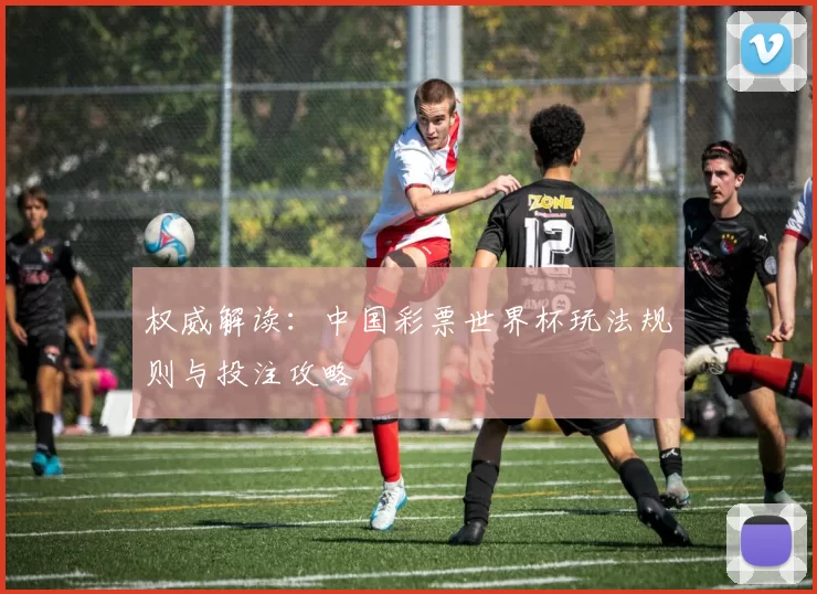 权威解读:中国彩票世界杯玩法规则与投注攻略